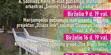 Grojantis miesto sodas