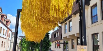 Instaliacija „Auksinis jaunimas“