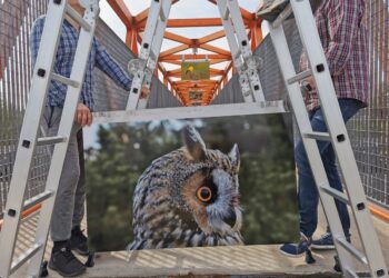 Kazlų Rūdoje atnaujinta viaduko meno galerija!