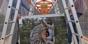 Kazlų Rūdoje atnaujinta viaduko meno galerija!