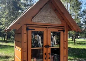 Kazlų Rūdoje atnaujintas knygų namelių turinys