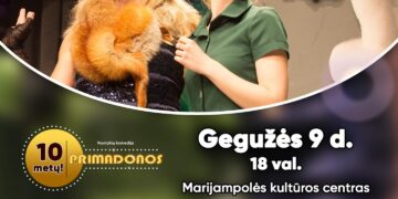 Komedija „Primadonos“