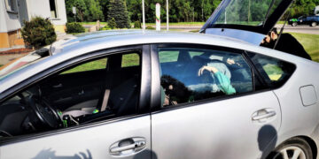 Neteisėta kelionė į Vokietiją nutrūko Lenkijos pasienyje