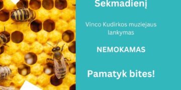 Paroda „Iš avilio“