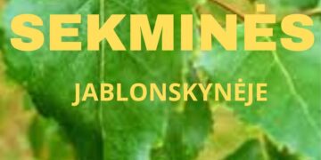 Sekminės Jablonskynėje