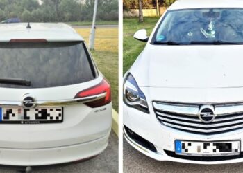 Sulaikytas automobilis