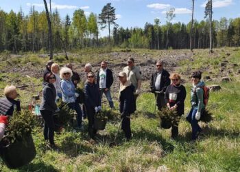 Vilkaviškiečiai prisijungė prie nacionalinio miškasodžio