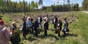 Vilkaviškiečiai prisijungė prie nacionalinio miškasodžio