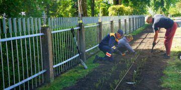 Vytauto Didžiojo parkas pakvips rožėmis