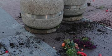 „Cukrinio festivalio“ metu - piktavalių žala miestui