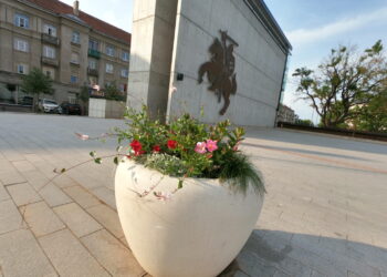 Sausra koregavo ir miestų puošimo planus. Kuris gėlynas gražiausias?