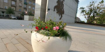 Sausra koregavo ir miestų puošimo planus. Kuris gėlynas gražiausias?