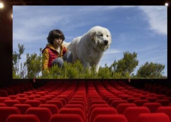 „Šeimos kortelės“ turėtojams – nuolaidos birželio mėnesį kino teatre „Spindulys“