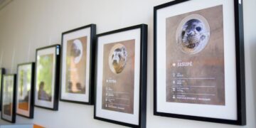 Baltijos jūros ruoniukams suteikti suvalkietiški vardai