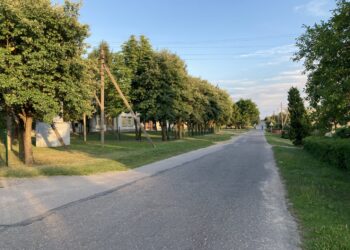 Alyvų gatvė - viena judriausių gyvenvietėje