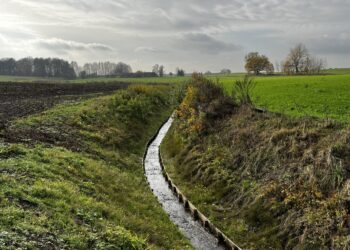 Susitikimas dėl Amalvo polderio