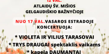 ŽOLINĖ GELGAUDIŠKYJE