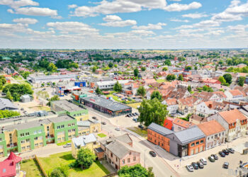 Skelbiami apklausos rezultatai