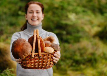 Išmanusis grybavimas – grybų atpažinimui pasitelkiamos ir mobiliosios programėles