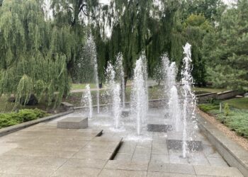 Maudyklose bei prie miesto fontanų galimybė užsikrėsti legionelioze - itin menka