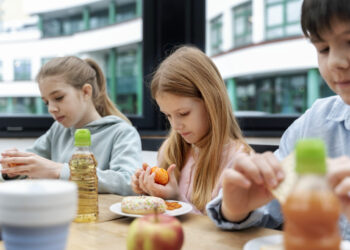 Daliai moksleivių nemokamas maitinimas priklauso, neatsižvelgiant į šeimos finansinę padėtį