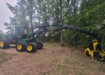 Pradedami sanitarinio kirtimo darbai Gelgaudiškio miške