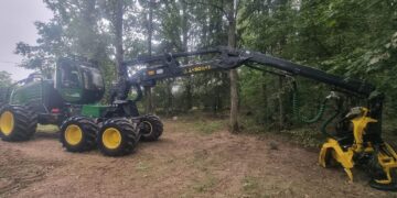 Pradedami sanitarinio kirtimo darbai Gelgaudiškio miške