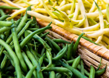 Šparaginės pupelės