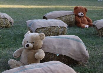 Vasaros šventė Meškučiuose