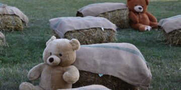 Vasaros šventė Meškučiuose