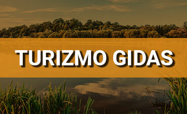 Verslo gidas