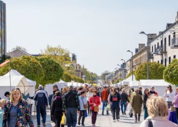 Rugpjūčio 27 į Marijampolę atvyksta amatininkus ir tautodailininkai suburianti mugė DŪZGIA AVILYS