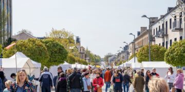 Rugpjūčio 27 į Marijampolę atvyksta amatininkus ir tautodailininkai suburianti mugė DŪZGIA AVILYS