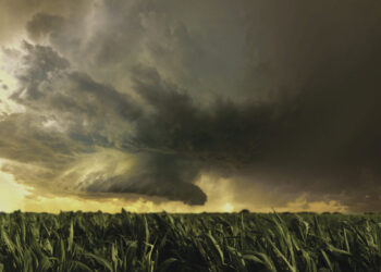 Pagalba žemdirbiams, nukentėjusiems nuo audros ir krušos