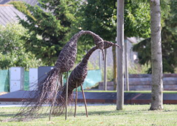 Bendruomenių sukurtos gervės puošia Kalvarijos centrinę aikštę