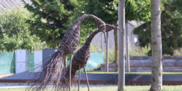 Bendruomenių sukurtos gervės puošia Kalvarijos centrinę aikštę