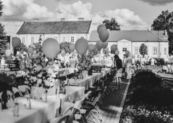 Draugų susitikimas 2023