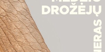 Medžio drožėjų pleneras