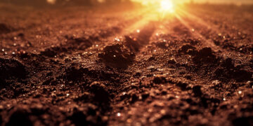 Laukiama pasiūlymų dėl Dirvožemio stebėsenos ir atsparumo direktyvos