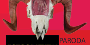 Paroda „Fotoobjektyvai“