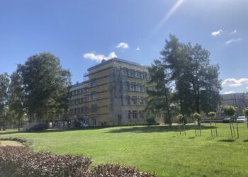 Rimanto Stankevičiaus progimnazijoje - renovacijos darbai