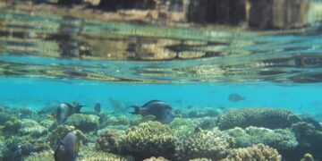 Egiptas – tobula atostogų kryptis vandens pramogų entuziastams!