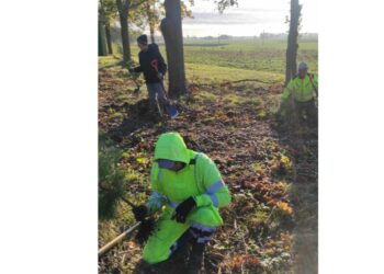 Klausučių seniūnijoje sodinti medžiai