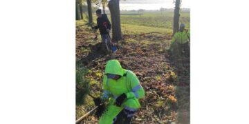 Klausučių seniūnijoje sodinti medžiai