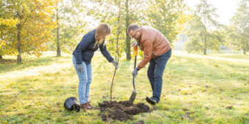 Klimato savaitė - Marijampolės skveruose pasodinta 200 medžių
