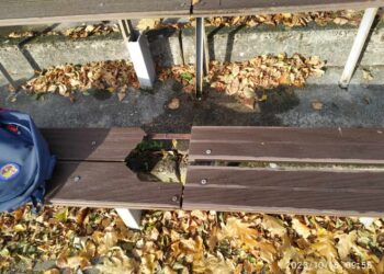 Nuniokotas Rygiškių Jono gimnazijos stadionas