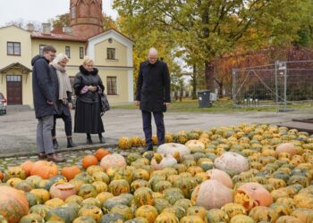 Paežeriuose - moliūgų žibintų vakaras „Parke klaidžioja švieselės“