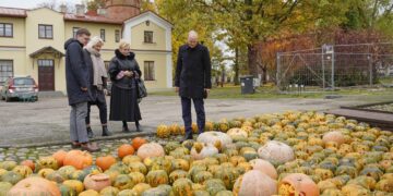 Paežeriuose - moliūgų žibintų vakaras „Parke klaidžioja švieselės“