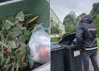 Tikrinta atliekų rūšiavimo tvarka