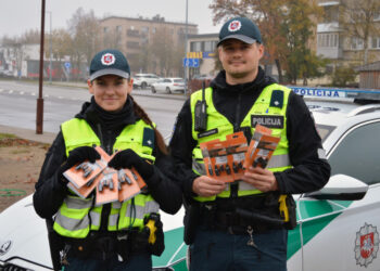 Vairuotojams - ultragarsiniai švilpukai, padedantys išvengti susidūrimo su laukiniais gyvūnais